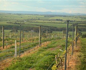 Barwon Ridge Wines - Winery Find