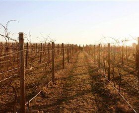 Beechworth Wine Estates - Winery Find