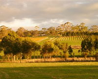 Gosling Creek - Winery Find