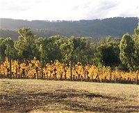 Steels Creek Estate - Winery Find
