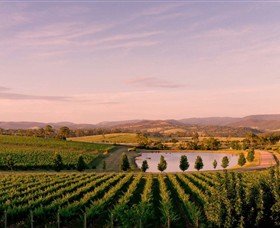 Oakridge Wines - Winery Find