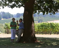 Five Oaks Vineyard - Winery Find