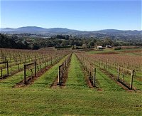 Elmswood Estate - Winery Find