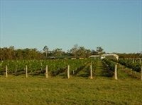 Book Kingaroy Accommodation Vacations Winery Find Winery Find