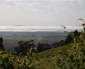 Windy Ridge Vineyard and Winery - Winery Find