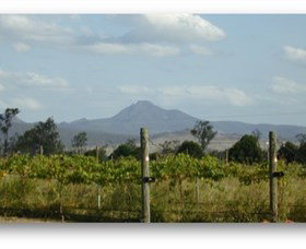 Pine Mountain QLD Winery Find
