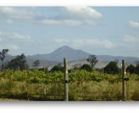 Ironbark Ridge Vineyard - Winery Find