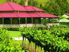 O'Reilly's Canungra Valley Vineyards - Winery Find
