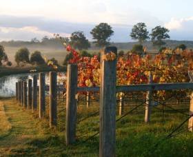 Roses Vineyard at Innes View - Winery Find