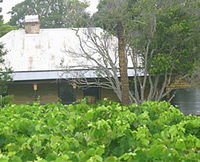 Douglas Vale Historic Vineyard - Winery Find