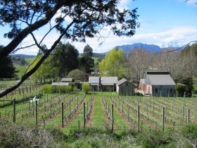 Wilmot Hills Vineyard - Winery Find
