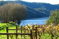 Lake Barrington Estate Vineyard - Winery Find