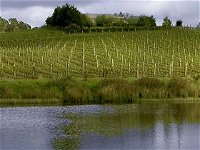 Brook Eden Vineyard - Winery Find