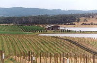 Tamar Ridge Wines - Winery Find