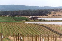 Tamar Ridge Wines