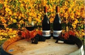 Craigow Vineyard - Winery Find