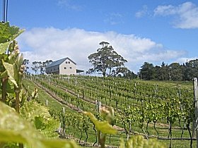 Bruny Island TAS Winery Find