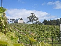 Bruny Island Premium Wines Bar and Grill - Winery Find