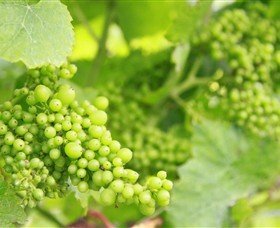 Waratah Hills Vineyard - Winery Find
