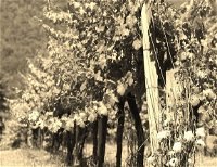 Eaglerange Estate - Winery Find