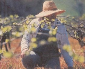 Canobolas Smith Winery - Winery Find