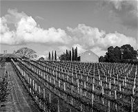 Willow Creek Vineyard - Winery Find