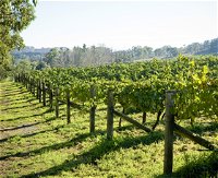 Surveyor's Hill Vineyards - Winery Find
