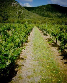 Gartelmann Wines - Winery Find