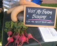 Mudgee Fine Foods Farm Walks - Winery Find