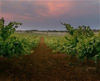 Wine Class - Winery Find