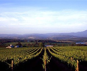Melbourne Wine Tours - Winery Find