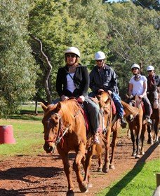Horseback Winery Tours - Winery Find